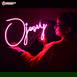 Custom Name Led Neon Sign Decorative Lights Wall Decor | Size Approx 12 Inches X 18 Inches According to Name 