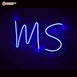 Customized Neon Alphabetic Initial Led Neon Sign Decorative Lights Wall Decor