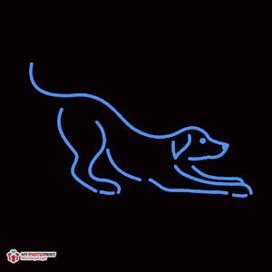 Neon Dog Led Neon Sign Decorative Lights Wall Decor