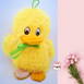 Duck Teddy Bear /Soft Toys