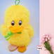 Duck Teddy Bear /Soft Toys