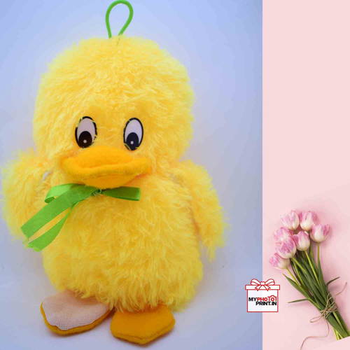 Duck Teddy Bear /Soft Toys